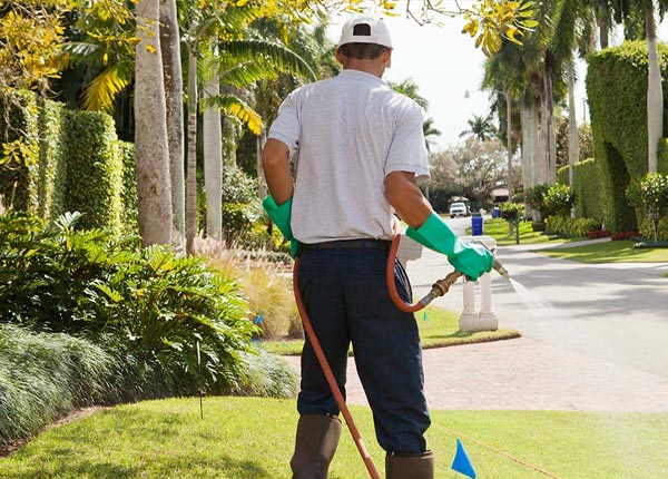 About Bryn Mawr PA Pest Control Pros